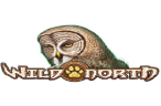 Wild North – Melhores Slots Play N Go