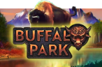 Buffalo Park – VersusBet Review