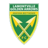 Golden Arrows